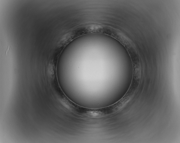 X0000116140654200911301521