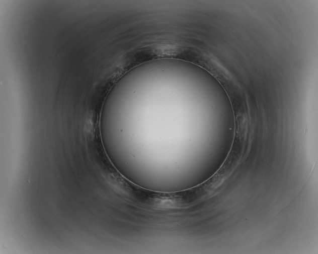 X0000116140655200911301521