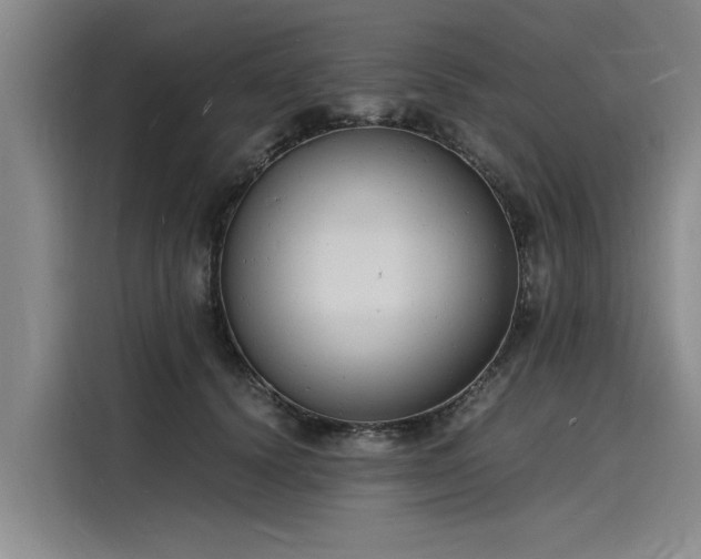 X0000116140656200911301522