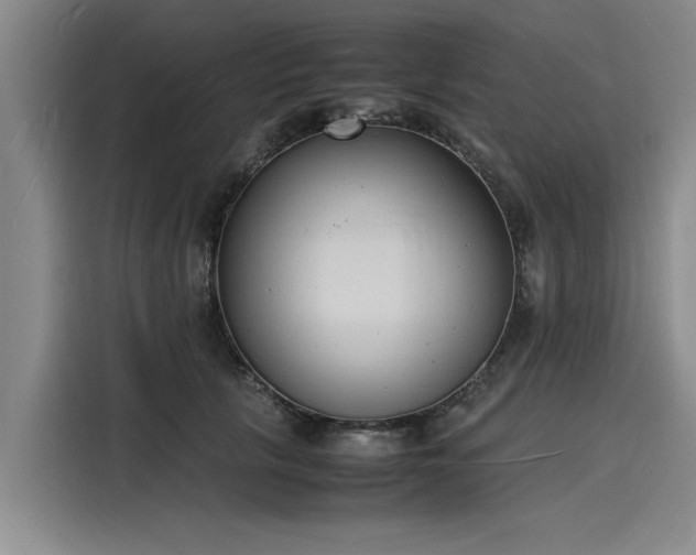 X0000116140657200911301522