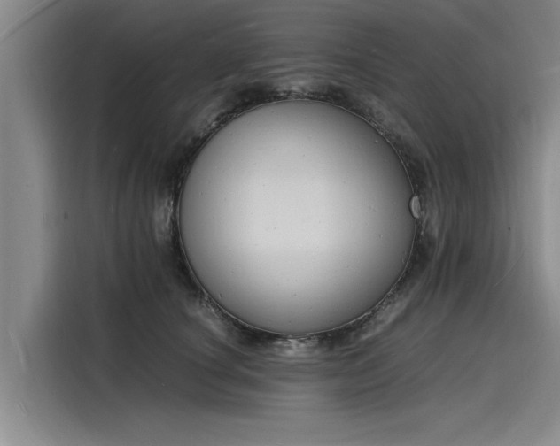 X0000116140660200911301522