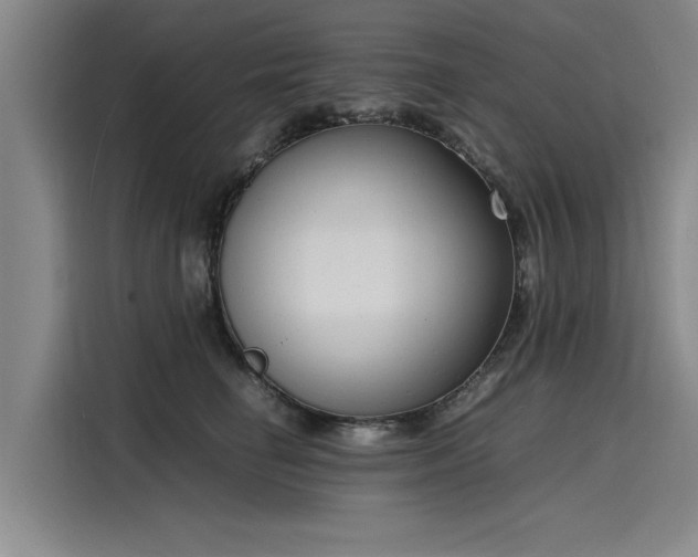 X0000116140662200911301522