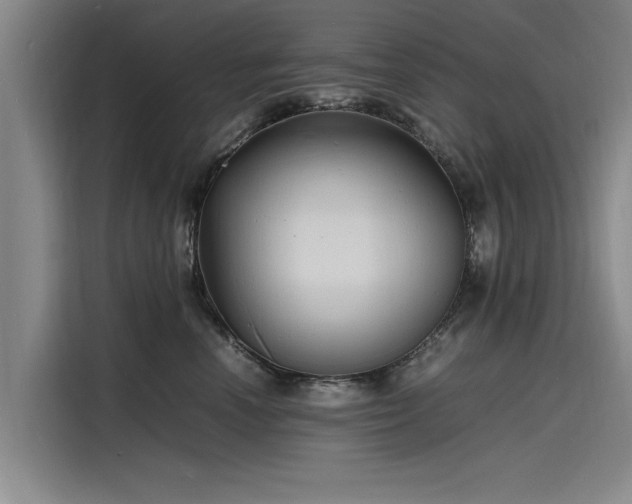 X0000116140666200911301522