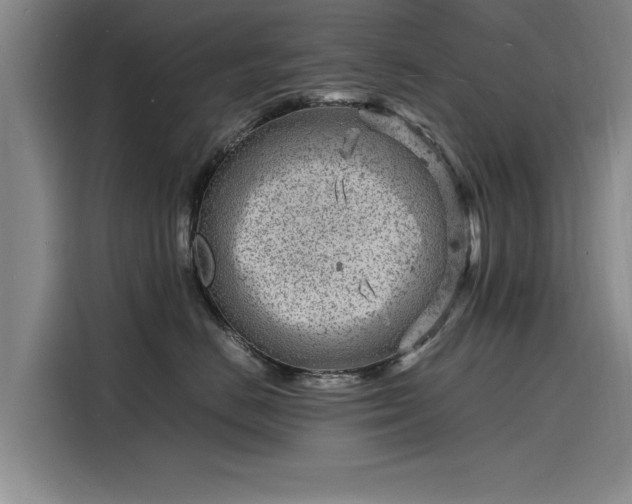 X0000116140670200911301522