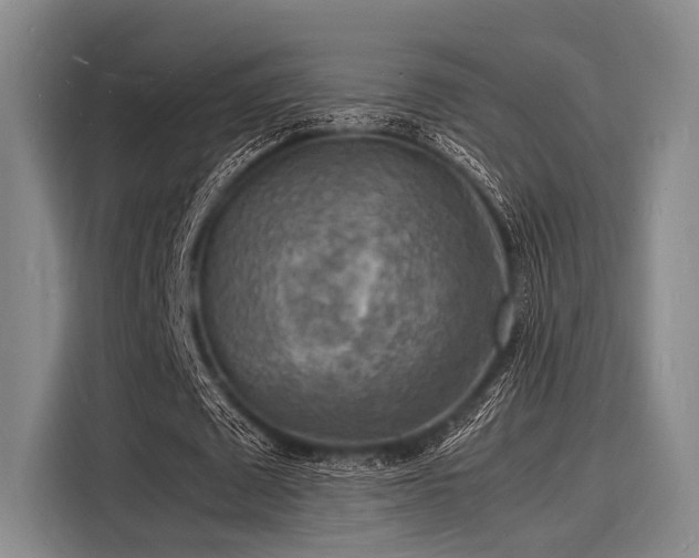 X0000116140673200911301521