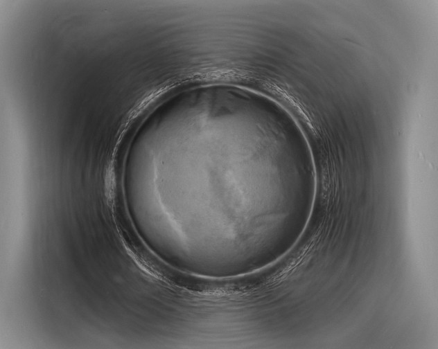 X0000116140674200911301521