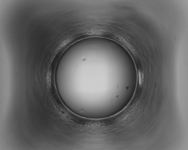 X0000116140675200911301521