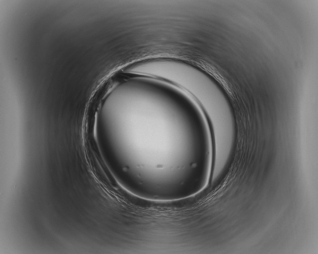X0000116140676200911301521