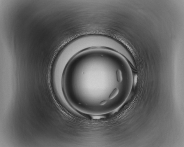 X0000116140677200911301521