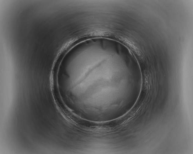 X0000116140678200911301521