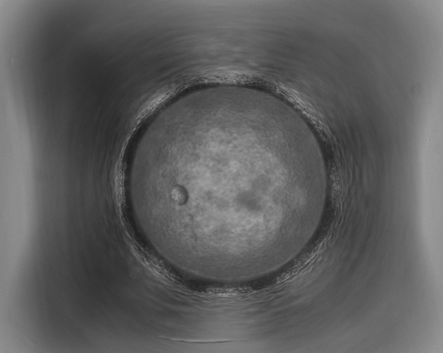 X0000116140679200911301521