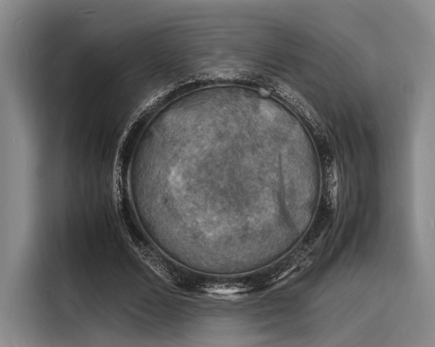 X0000116140680200911301521