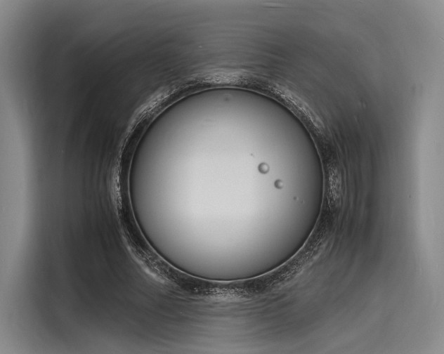 X0000116140682200911301521