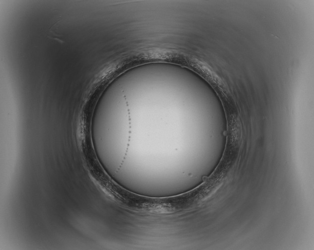 X0000116140683200911301521