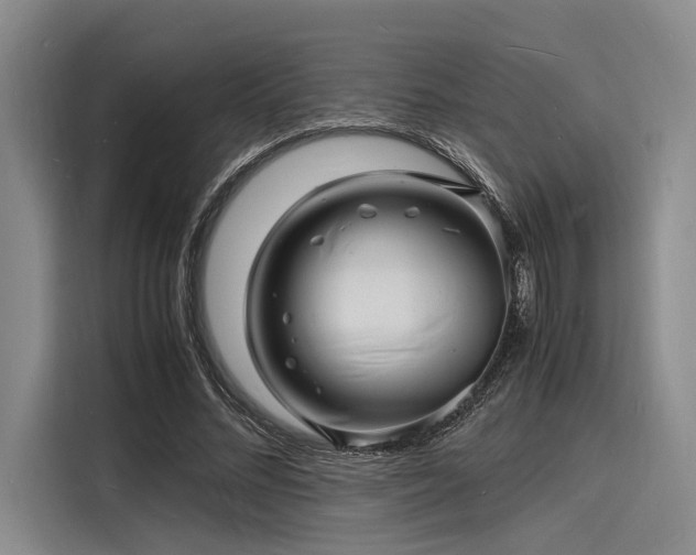 X0000116140684200911301521