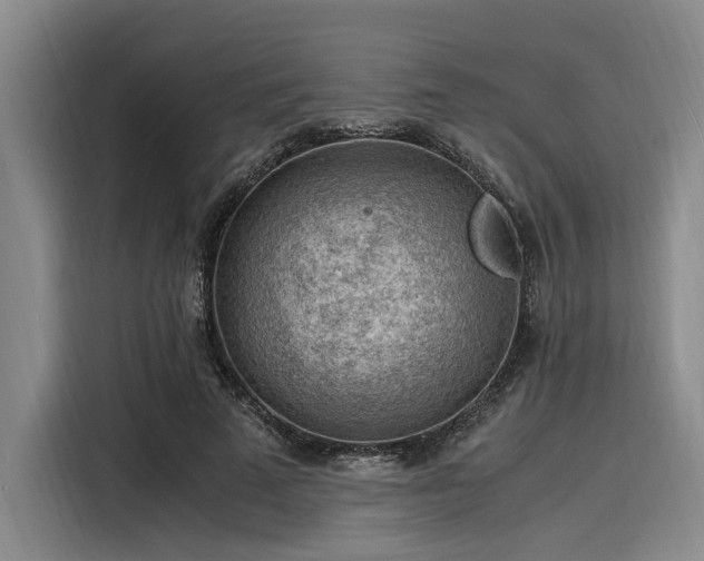 X0000116140689200911301521