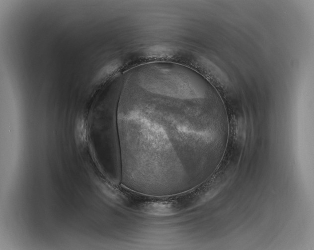 X0000116140692200911301521