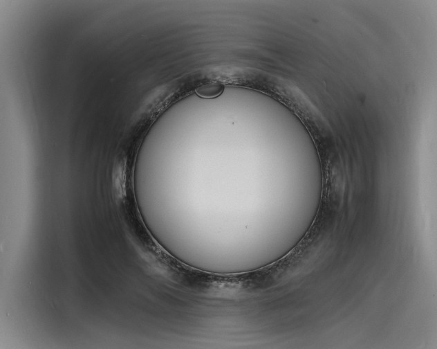 X0000116140694200911301521