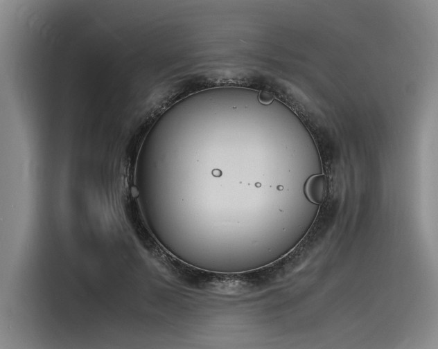 X0000116140695200911301521