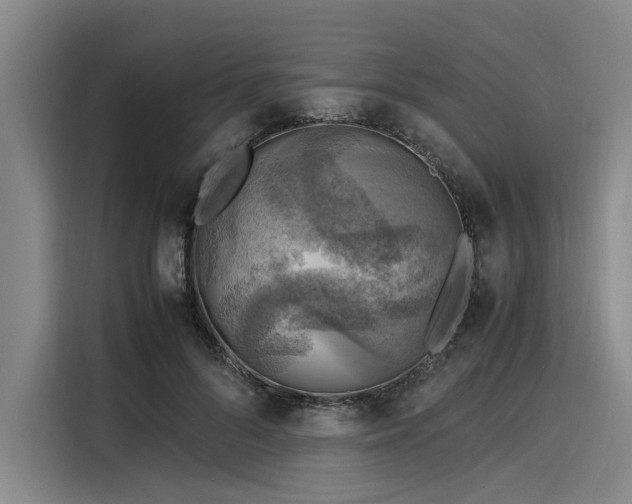 X0000116140696200911301521