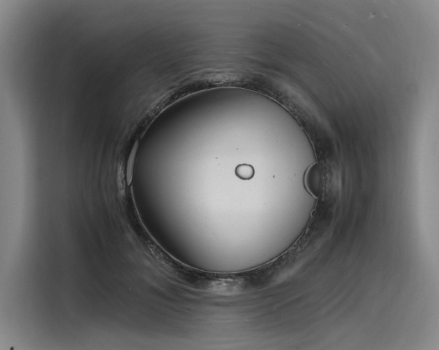 X0000116140700200911301521