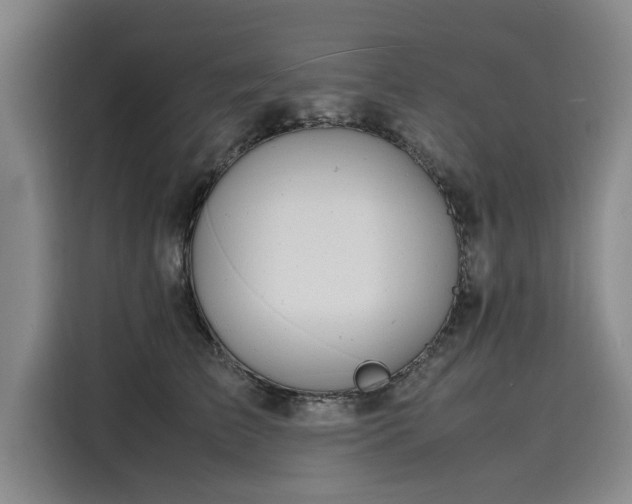 X0000116140709200911301521