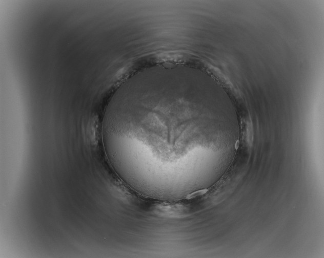X0000116140712200911301521