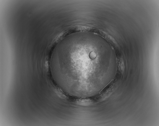X0000116140716200911301521