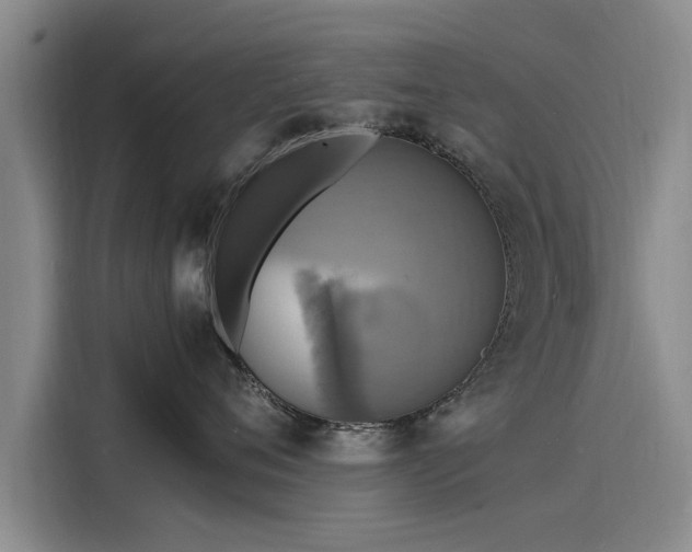 X0000116140720200911301520