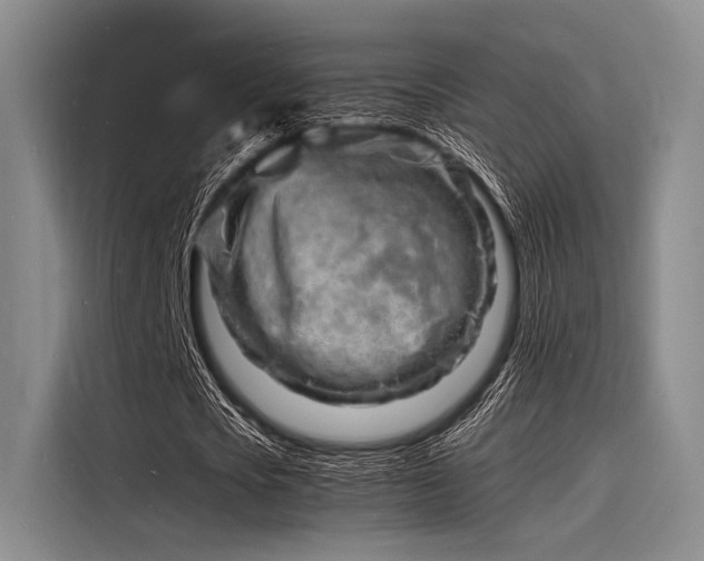 X0000116140721200911301520