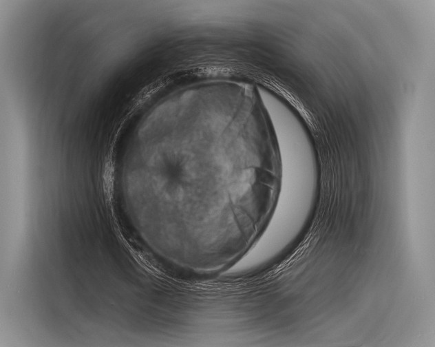 X0000116140722200911301520