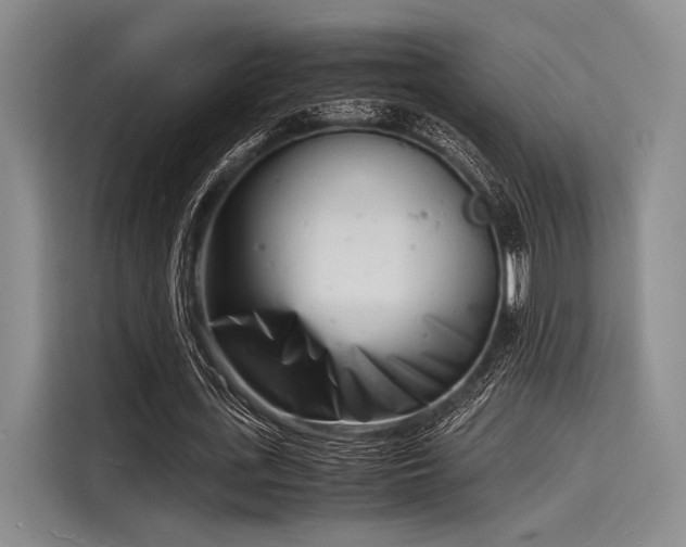 X0000116140723200911301520