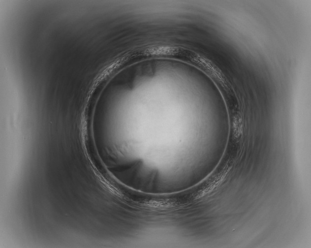 X0000116140725200911301520