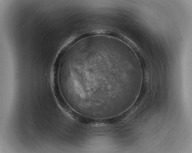 X0000116140730200911301520