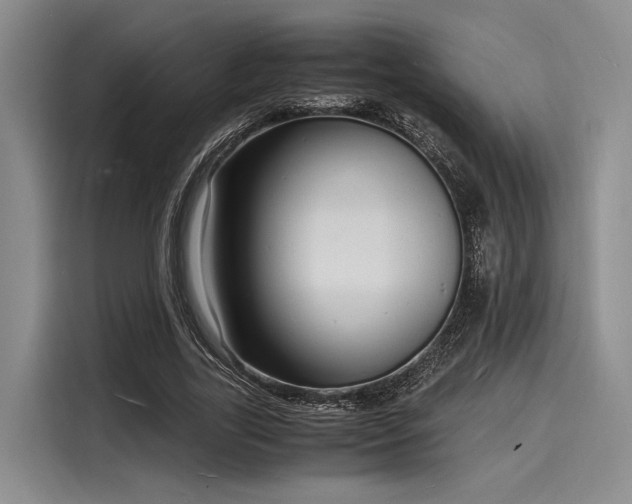 X0000116140731200911301520