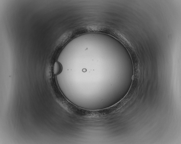X0000116140738200911301520