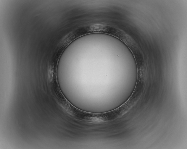 X0000116140741200911301520