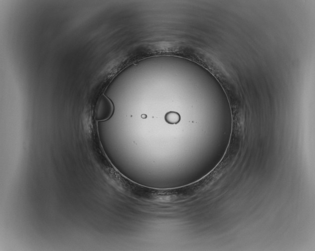 X0000116140746200911301520