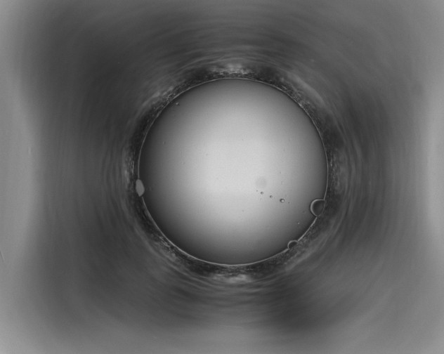 X0000116140747200911301520