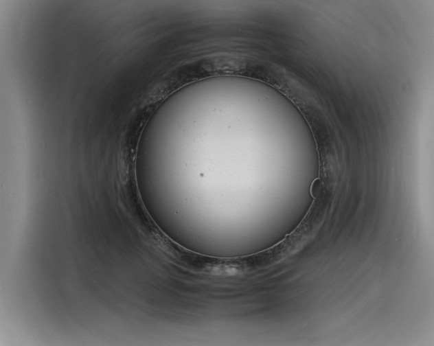 X0000116140751200911301520