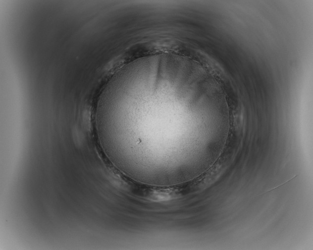 X0000116140757200911301520