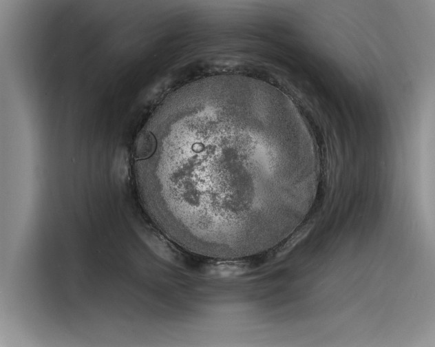 X0000116140758200911301520