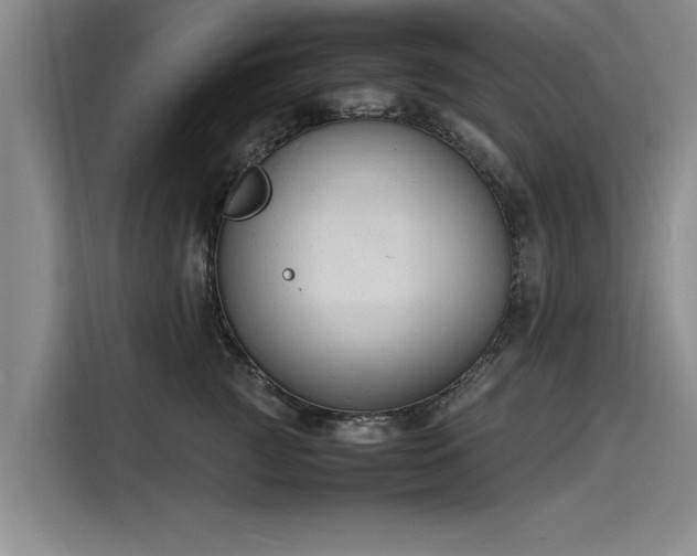 X0000116140761200911301520