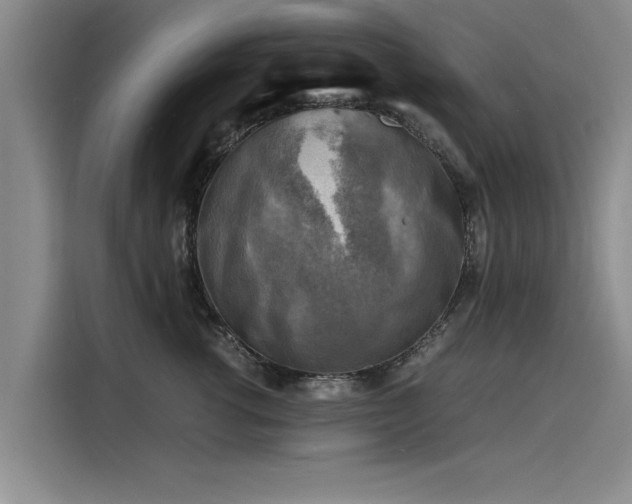 X0000116140762200911301520