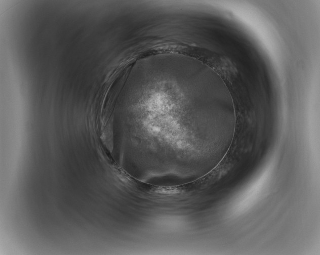 X0000116140767200911301520