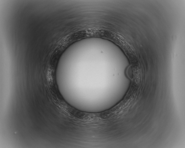 X0000116140770200911301520