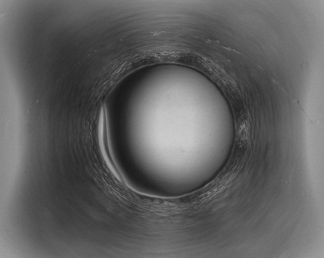 X0000116140772200911301520