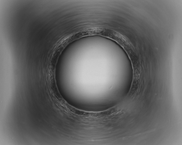 X0000116140773200911301520