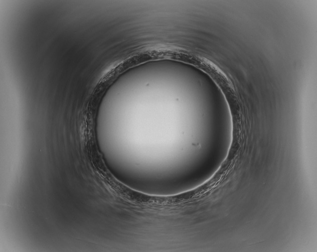 X0000116140775200911301520