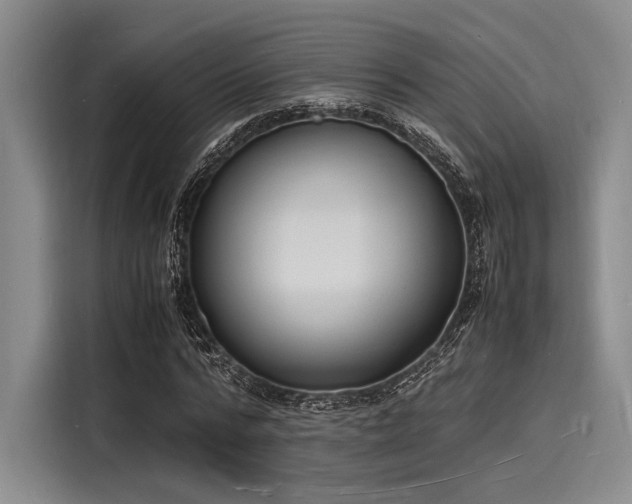 X0000116140776200911301520